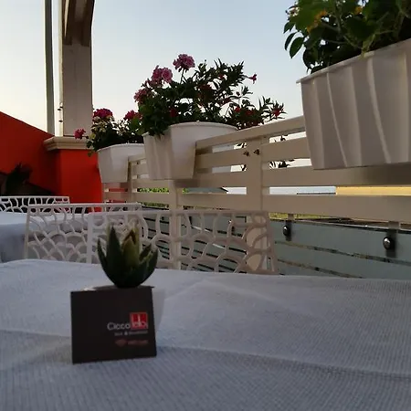 Ciccolella 维博瓦伦蒂亚码头